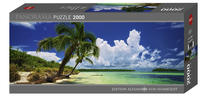 Paradise Palms Puzzle