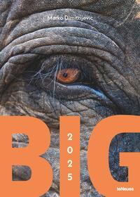 teNeues - Big 2025 Wandkalender, 50x70cm, Kalender mit den Giganten der Tierwelt, faszinierende und respekteinflößende Tiere, die zum Staunen verleiten, Bewunderung und Faszination, mit Spiralbindung