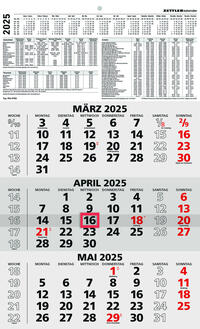 Zettler - 3-Monatskalender 2025 schwarz/rot, 29,7x48,8cm, Bürokalender mit Jahresübersicht, Datumsschieber, faltbar, 3 Monate auf einen Blick, Feiertage/Ferientermine DE/AT/CH und Kalendarium DE