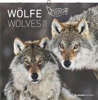 Alpha Edition - Wölfe Kalender 2026 – Wandkalender & Bildkalender 30x30 cm (30x60 cm geöffnet) mit faszinierenden Wolfsfotografien, für Naturfreunde & Tierliebhaber