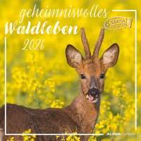 Alpha Edition - Geheimnisvolles Waldleben Kalender 2026 – Wandkalender 30x30 cm – Für Naturliebhaber – 12 beeindruckende Waldtier-Fotografien, viel Platz für Notizen, mit Feiertagen & Ferienterminen