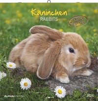 Alpha Edition - Kaninchen Kalender 2026 – 30x30 cm – Bildkalender für Tierfreunde – Niedlicher Wandkalender mit süßen Kaninchenmotiven – Platz für Notizen – Inkl. Poster – FSC-zertifiziert