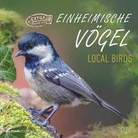Alpha Edition - Einheimische Vögel Kalender 2026 – Wandkalender 30×30 cm (30×60 geöffnet) mit Vogelmotiven & Platz für Notizen, Broschürenkalender mit Ferienterminen, Bildkalender für Vogelliebhaber