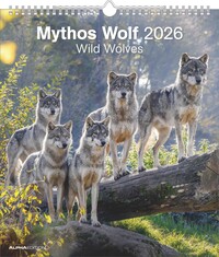 Alpha Edition - Mythos Wolf 2026 – Wandkalender 30×34 cm mit 12 faszinierenden Wolfsfotografien, 4-sprachiger Fotokalender für Naturfreunde, Tierliebhaber & Wildnis-Fans