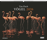 DUMONT - Tim Flach: Vögel 2026 – Posterkalender 60 x 50 cm – Faszinierende Vogel-Porträts für Tierfreunde & Fotografie-Liebhaber
