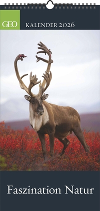 GEO - Faszination Natur 2026 – Wandkalender 22x45 cm, 12 Monatsblätter mit hochwertigen Naturfotografien, deutsches Kalendarium & Spiralbindung