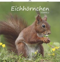 Alpha Edition - Eichhörnchen 2026 – Broschürenkalender 30×30 cm mit Notizkalendarium, 12 naturverbundene Tiermotive, dekorativer Wandkalender & praktischer Terminplaner für Natur- und Tierliebhaber