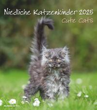 Alpha Edition - Niedliche Katzenkinder 2025 Bildkalender, 30x34cm, Kalender mit niedlichen Katzenkinder-Motiven, Mondphasen, Kalenderwochen, Feiertage DE/AT/CH, internationales Kalendarium