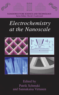 Electrochemistry at the Nanoscale