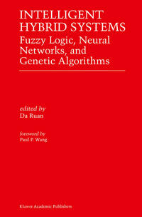 Intelligent Hybrid Systems