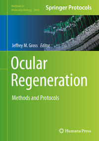 Ocular Regeneration