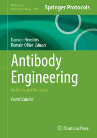 Antibody Engineering