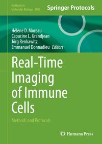 Real-Time Imaging of Immune Cells