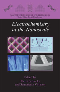 Electrochemistry at the Nanoscale