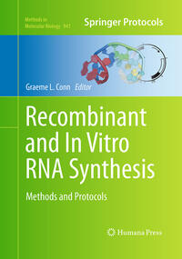 Recombinant and In Vitro RNA Synthesis