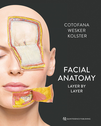 Facial Anatomy