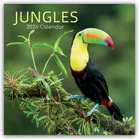 Jungles – Dschungel 2026 – 16-Monatskalender