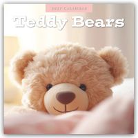 Teddy Bears – Teddybären 2027 – 16-Monatskalender