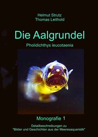 Aalgrundeln - Pholidichthys leucotaenia