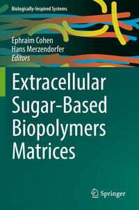 Extracellular Sugar-Based Biopolymers Matrices