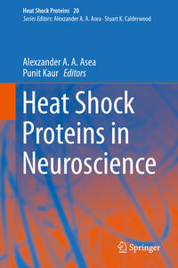 Heat Shock Proteins in Neuroscience