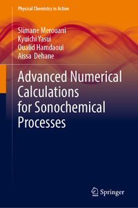 Advanced Numerical Calculations for Sonochemical Processes
