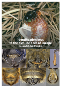 Identification keys to the osmiine bees of Europe (Megachilidae, Osmiini)
