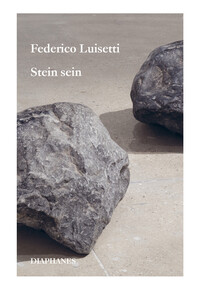 Stein sein