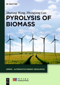 Pyrolysis of Biomass