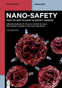 Nano-Safety