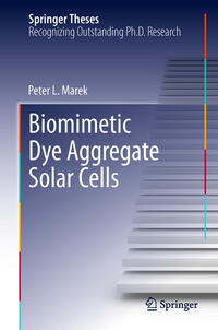 Biomimetic Dye Aggregate Solar Cells