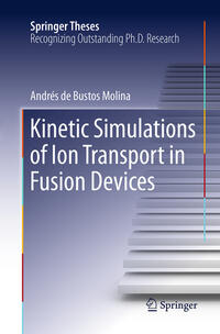 Kinetic Simulations of Ion Transport in Fusion Devices