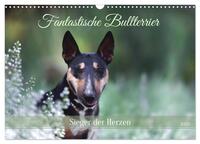 Fantastische Bullterrier - Sieger im Herzen (Wandkalender 2025 DIN A3 quer), CALVENDO Monatskalender