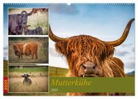 Mutterkühe (Wandkalender 2025 DIN A2 quer), CALVENDO Monatskalender
