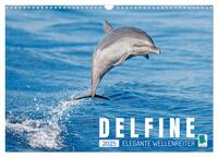 Delfine: Elegante Wellenreiter (Wandkalender 2025 DIN A3 quer), CALVENDO Monatskalender