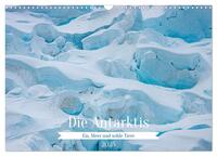 Die Antarktis - Eis, Meer und wilde Tiere (Wandkalender 2025 DIN A3 quer), CALVENDO Monatskalender