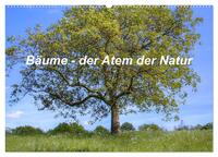 Bäume, der Atem der Natur (Wandkalender 2025 DIN A2 quer), CALVENDO Monatskalender