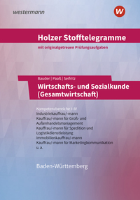 Holzer Stofftelegramme Baden-Württemberg – Wirtschafts- und Sozialkunde (Gesamtwirtschaft)