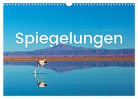 Spiegelungen - Einzigartige Reflektionen (Wandkalender 2025 DIN A3 quer), CALVENDO Monatskalender