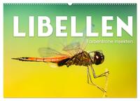 Libellen - Farbenfrohe Insekten (Wandkalender 2025 DIN A2 quer), CALVENDO Monatskalender
