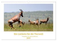 Ein Lächeln für die Tierwelt (Wandkalender 2025 DIN A3 quer), CALVENDO Monatskalender