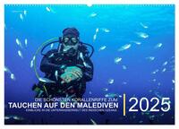 Die schönsten Korallenriffe zum Tauchen auf den Malediven (Wandkalender 2025 DIN A2 quer), CALVENDO Monatskalender