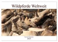 Wildpferde Weltweit (Wandkalender 2025 DIN A2 quer), CALVENDO Monatskalender