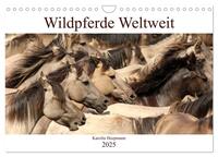 Wildpferde Weltweit (Wandkalender 2025 DIN A4 quer), CALVENDO Monatskalender