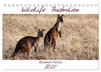 Wildlife Australien (Tischkalender 2025 DIN A5 quer), CALVENDO Monatskalender