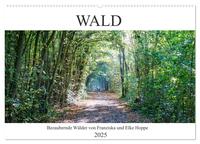 Wald - bezaubernde Wälder (Wandkalender 2025 DIN A2 quer), CALVENDO Monatskalender