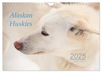 Alaskan Huskies (Wandkalender 2025 DIN A4 quer), CALVENDO Monatskalender