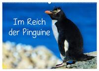 Im Reich der Pinguine (Wandkalender 2025 DIN A2 quer), CALVENDO Monatskalender