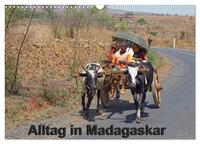 Alltag in Madagaskar (Wandkalender 2025 DIN A3 quer), CALVENDO Monatskalender