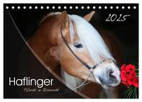 Haflinger-Pferde in Reinzucht (Tischkalender 2025 DIN A5 quer), CALVENDO Monatskalender